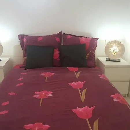 Acapulco 212 * 美洲海滩